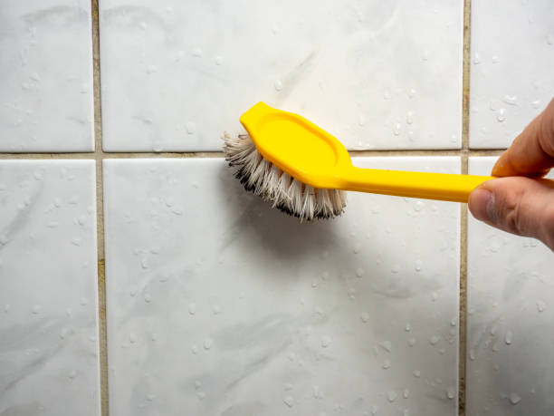 Best Residential Mold Remediation in Sulphur Springs, TX