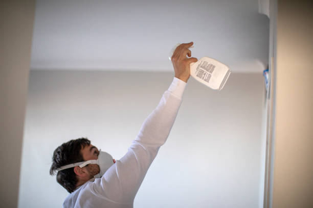 Trusted Sulphur Springs, TX Mold Remediation Experts