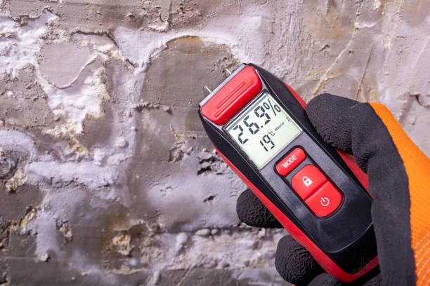 Best Bathroom Mold Remediation in Sulphur Springs, TX