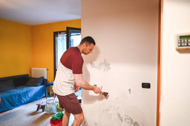 Trusted Sulphur Springs, TX Mold Remediation Experts